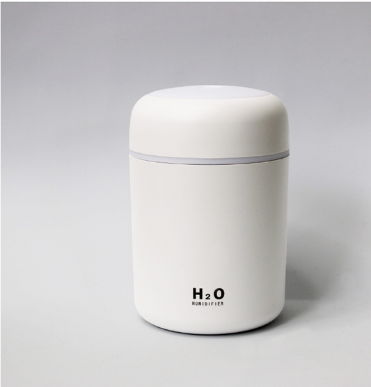 H20 Aroma Humidifier "USB-humidifier" - HomeFlair